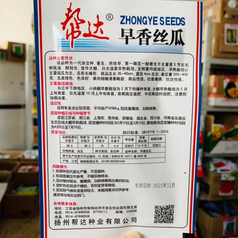 帮达早香丝瓜种子一代杂交种长棒形香丝瓜种子耐低温