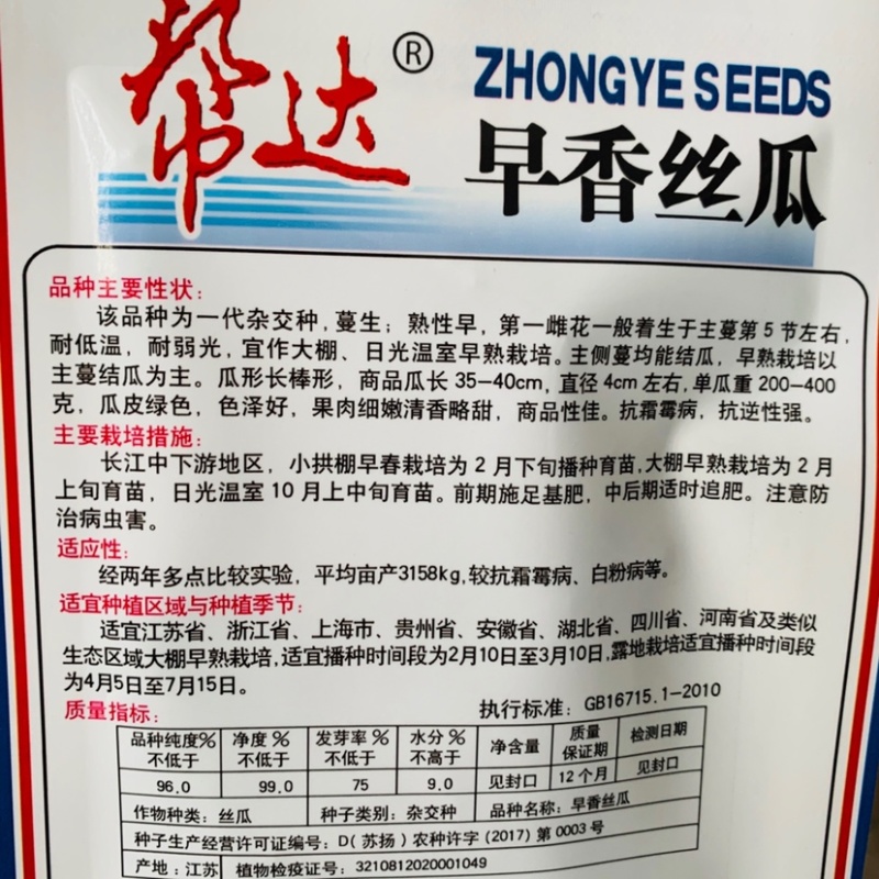 帮达早香丝瓜种子一代杂交种长棒形香丝瓜种子耐低温