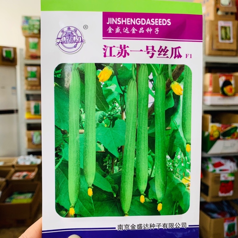 江苏一号丝瓜杂交种子早熟皮薄耐低温特长香丝瓜种子