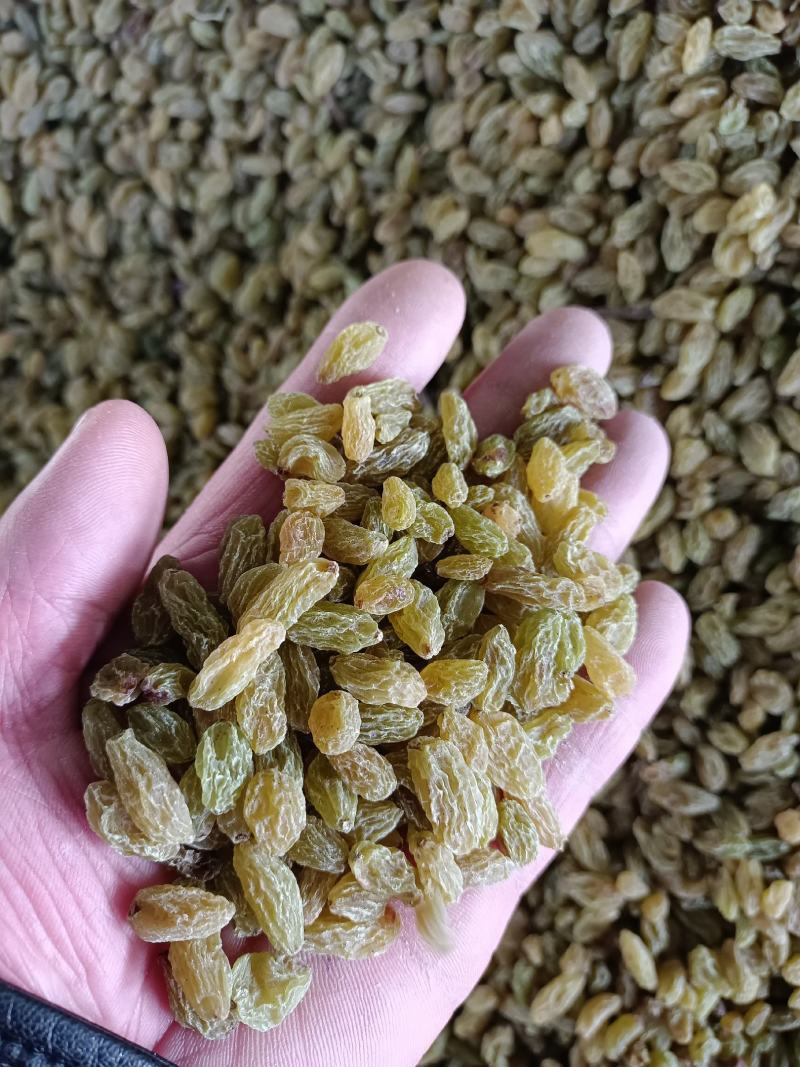 《优选》吐鲁番，葡萄干产地直发一手货源颗粒饱满大小均匀