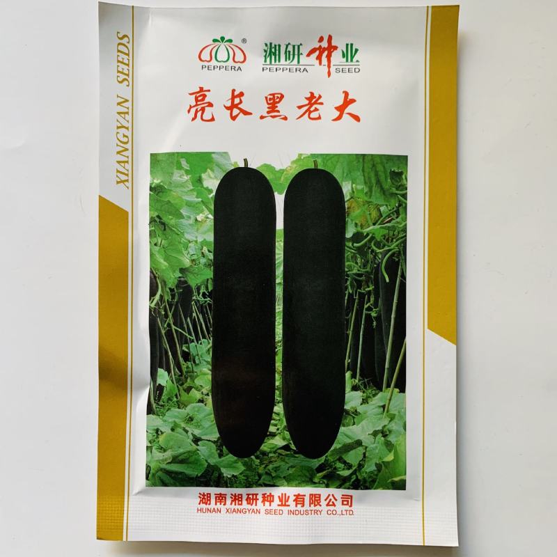 厂家直发黑皮冬瓜种子黑皮杂交一代铁心冬瓜种炮弹形无束腰