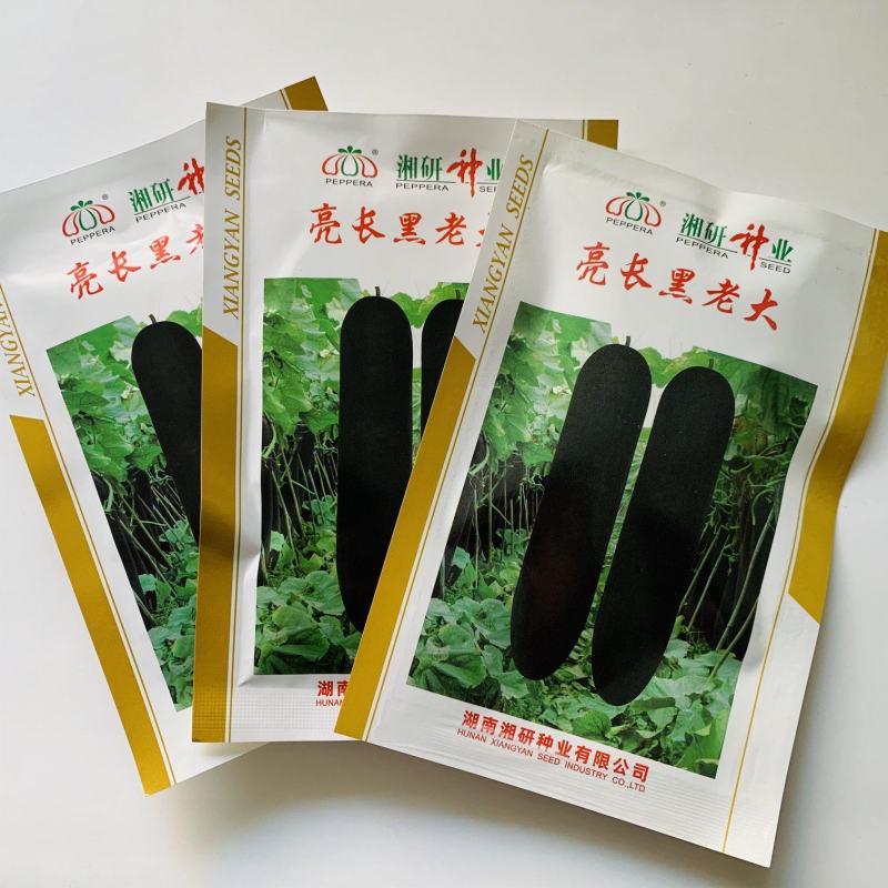 厂家直发黑皮冬瓜种子黑皮杂交一代铁心冬瓜种炮弹形无束腰
