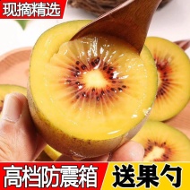 【一件代发】四川蒲江红心猕猴桃奇异果新鲜应季水果现摘包邮