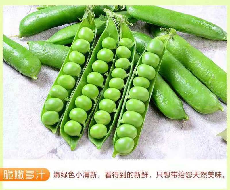 云南大理青豌豆带壳鲜嫩长寿仁水晶豌豆甜豌豆
