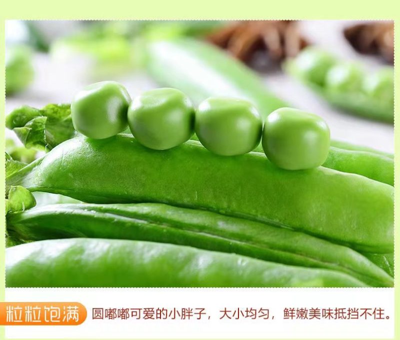 云南大理青豌豆带壳鲜嫩长寿仁水晶豌豆甜豌豆