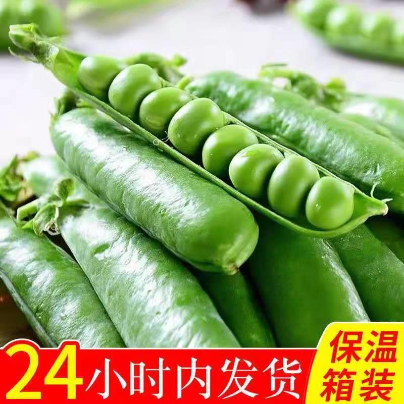 云南大理青豌豆带壳鲜嫩长寿仁水晶豌豆甜豌豆