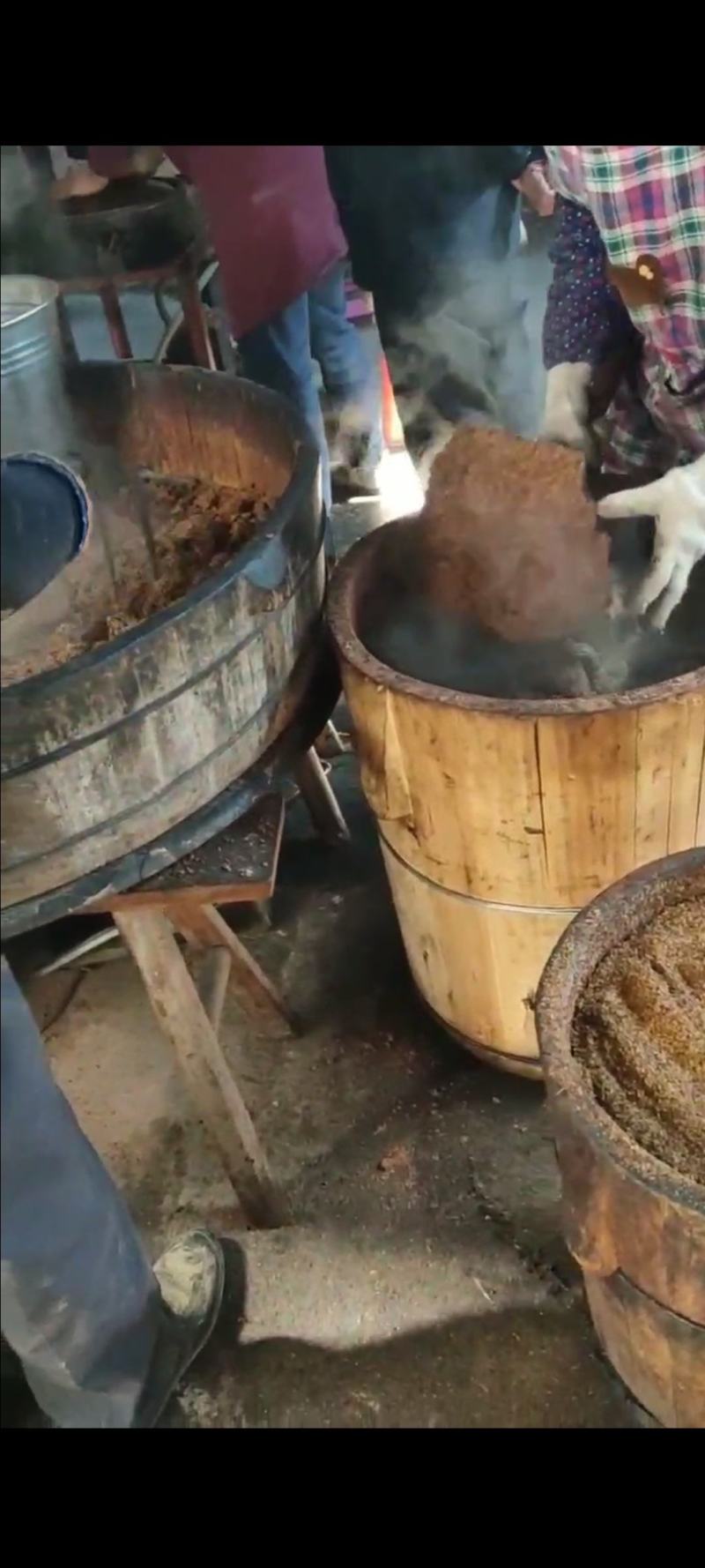 高山野生茶籽油