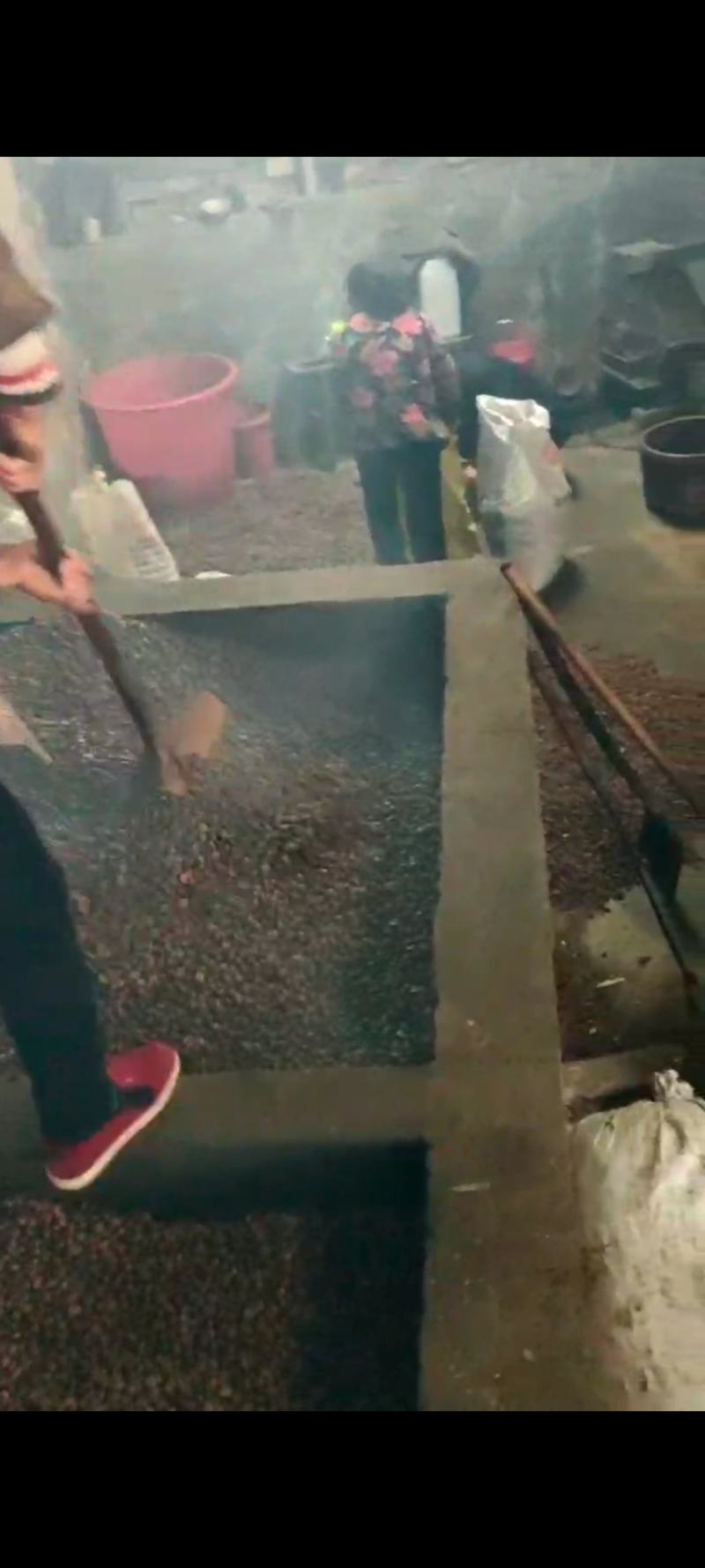 高山野生茶籽油