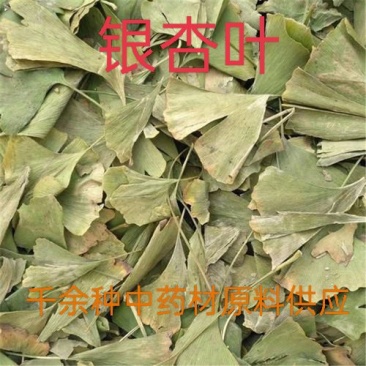银杏叶，中药材白果叶质量保证经营各种中药材欢迎咨询选购