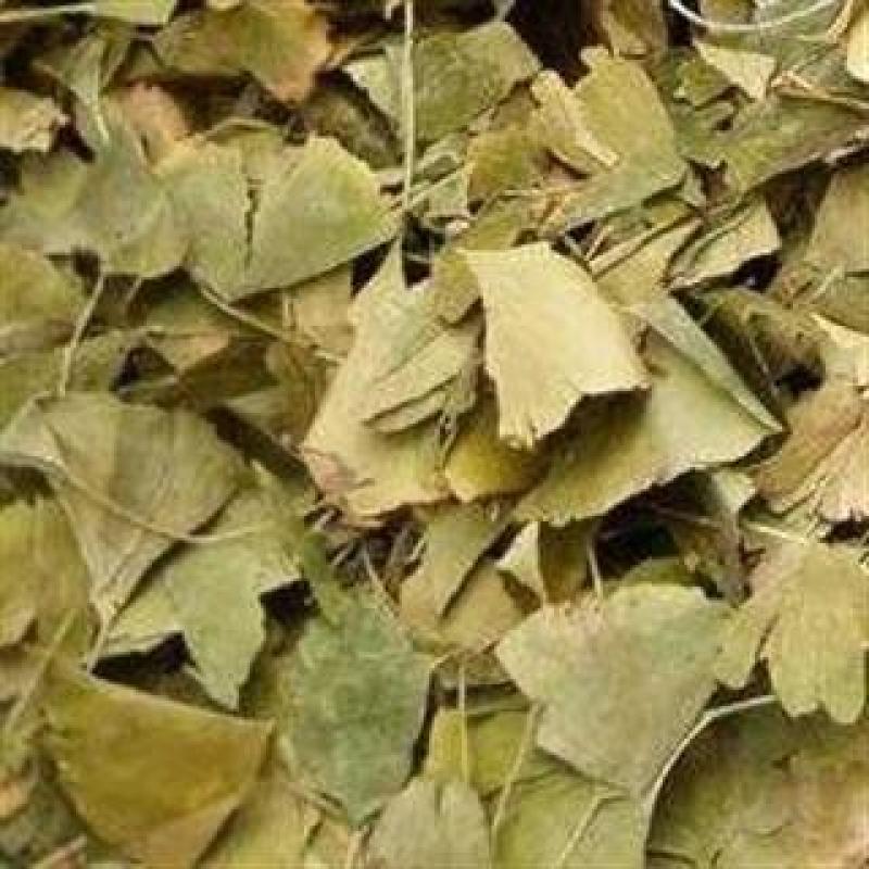 银杏叶，中药材白果叶质量保证经营各种中药材欢迎咨询选购