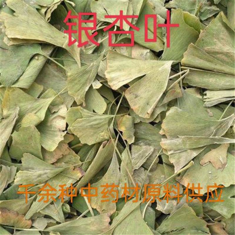 银杏叶，中药材白果叶质量保证经营各种中药材欢迎咨询选购