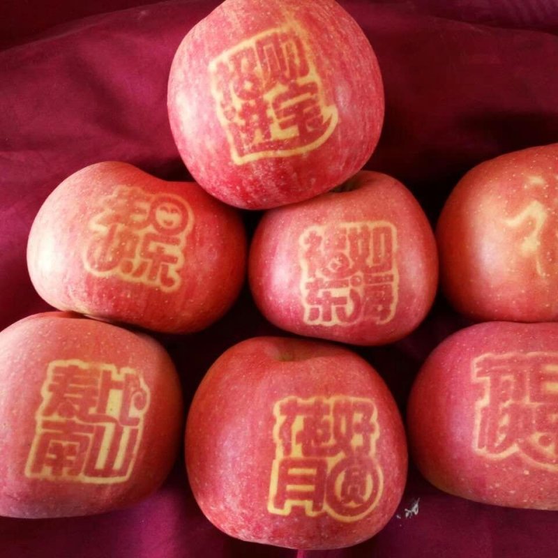 山西运成冰糖心红富士平果产地直销货源充足甜度大品质好价格