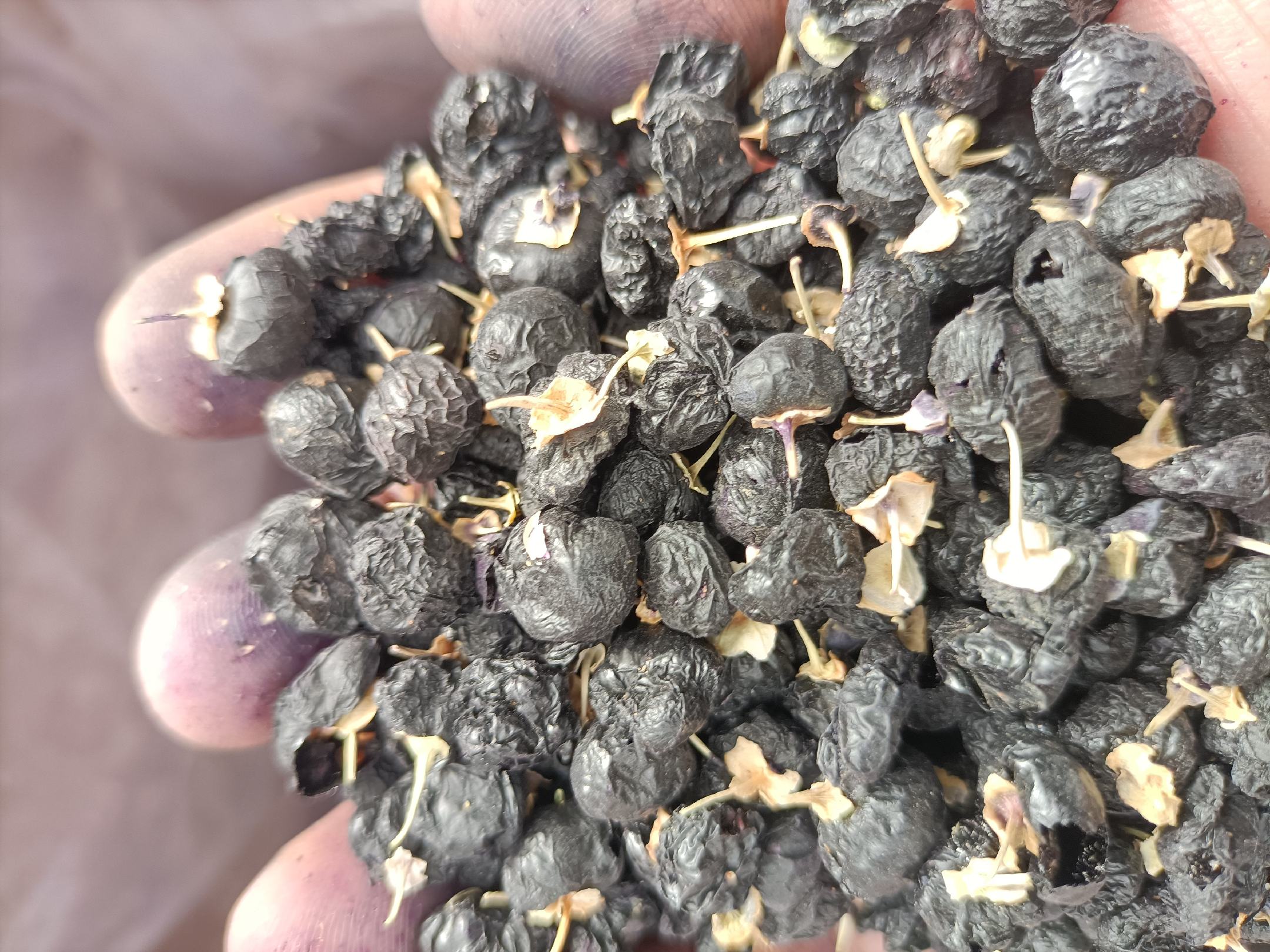 黑芝麻食谱搭配