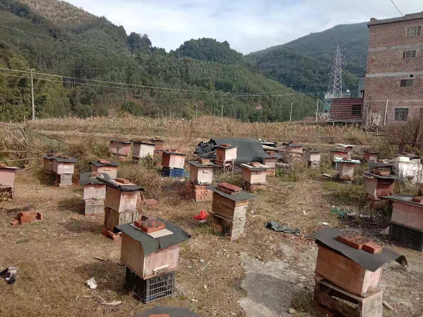蜂蜜营养成分表