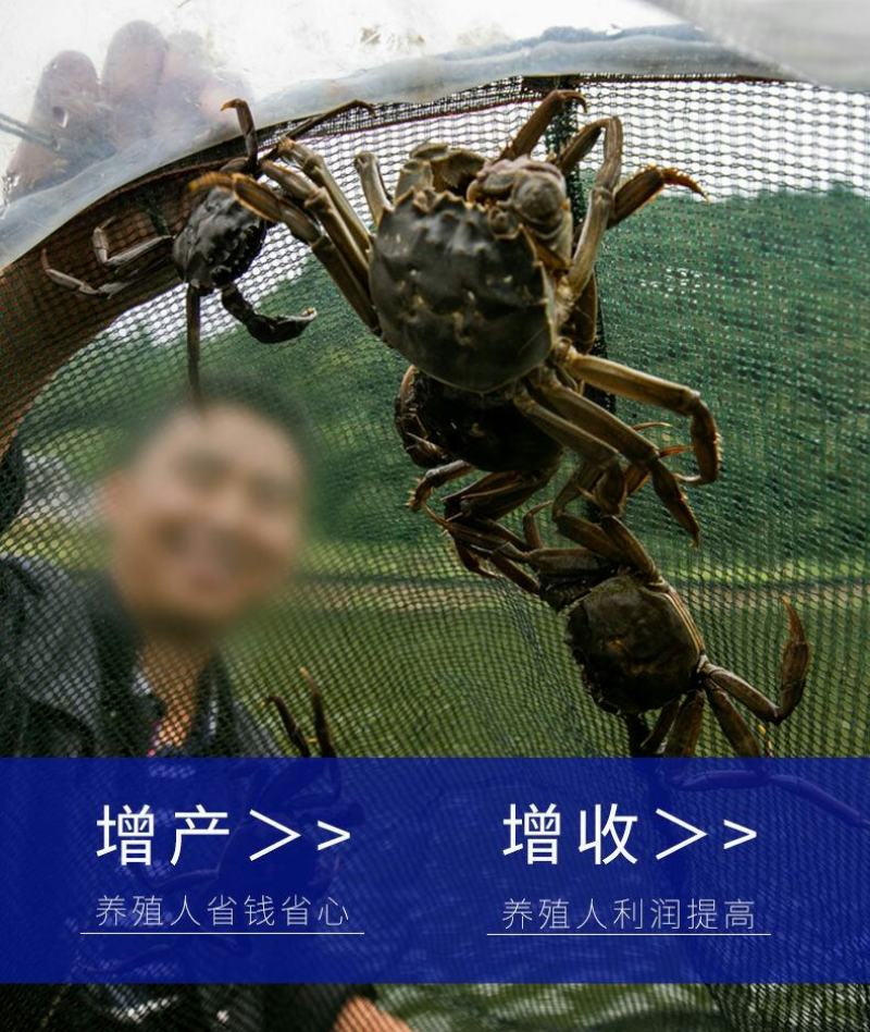 虾蟹熟化配合饲料水产养殖虾蟹潜江小龙虾颗粒饲料鱼粮补钙脱