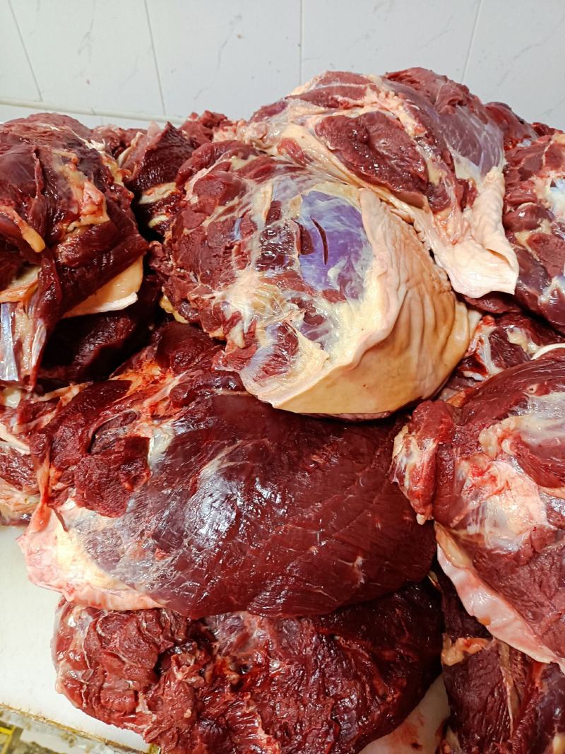 新鲜纯驴肉山东德州场地直发根据要求现杀现发
