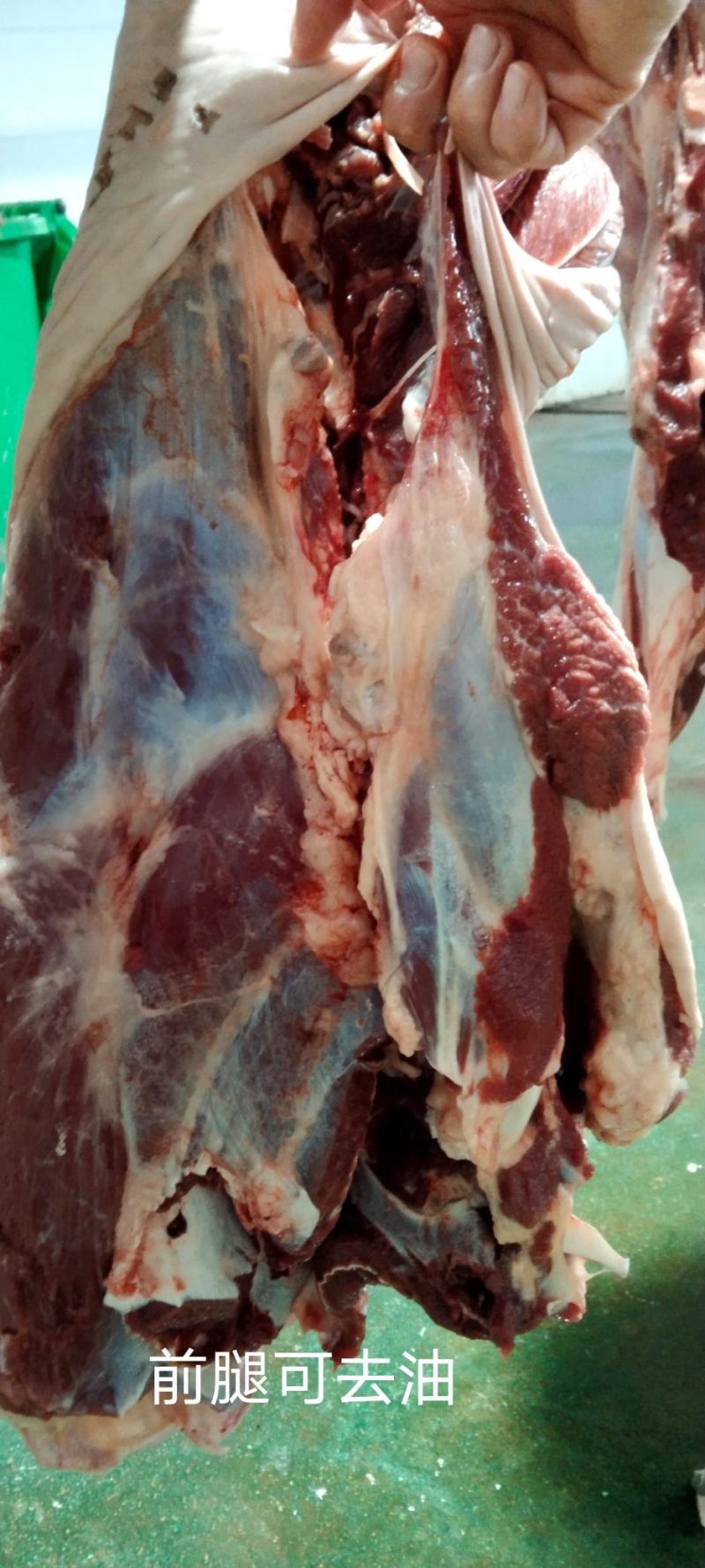 新鲜纯驴肉山东德州场地直发根据要求现杀现发