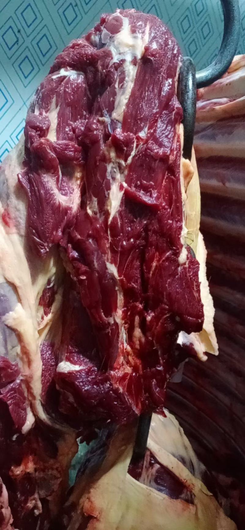新鲜纯驴肉山东德州场地直发根据要求现杀现发