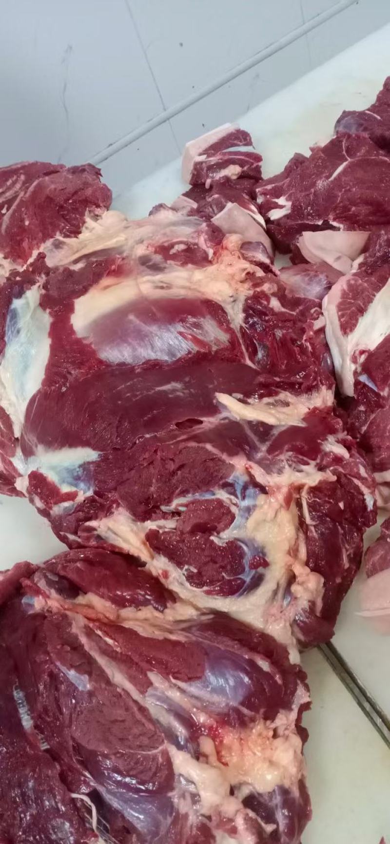 新鲜纯驴肉山东德州场地直发根据要求现杀现发