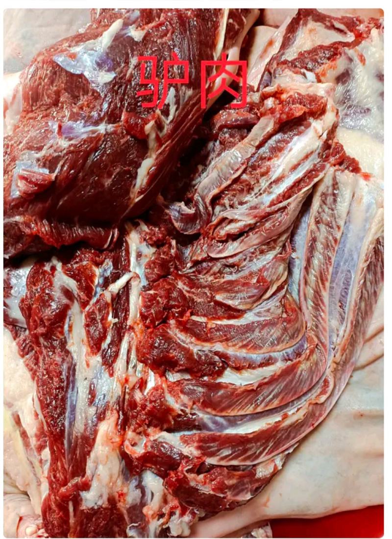 新鲜纯驴肉山东德州场地直发根据要求现杀现发
