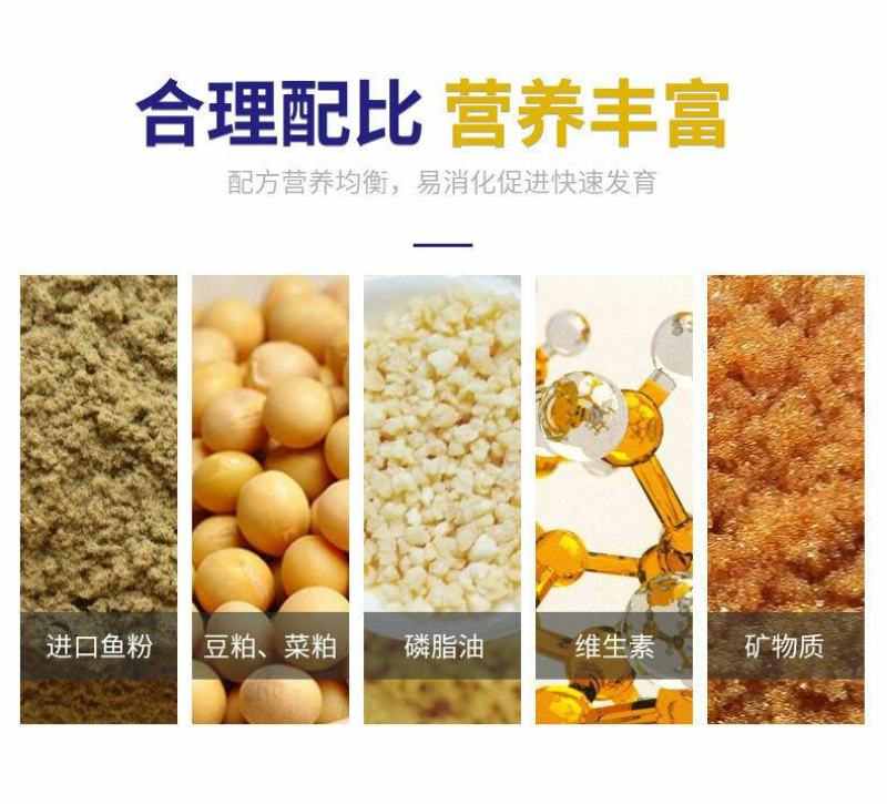 对虾乐高活性全发酵对虾用饲料诱食促长水产养殖对虾虾蟹配合