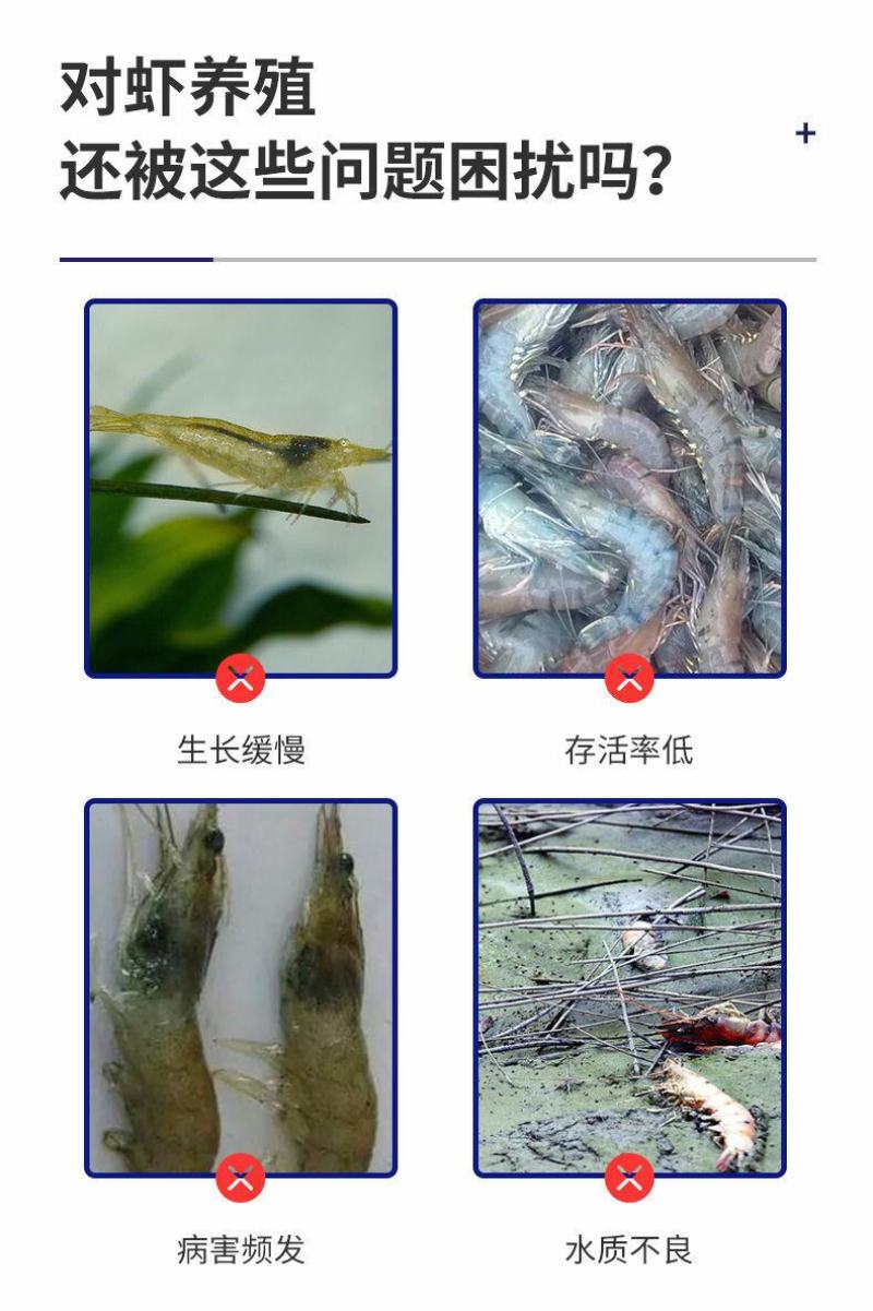 对虾乐高活性全发酵对虾用饲料诱食促长水产养殖对虾虾蟹配合
