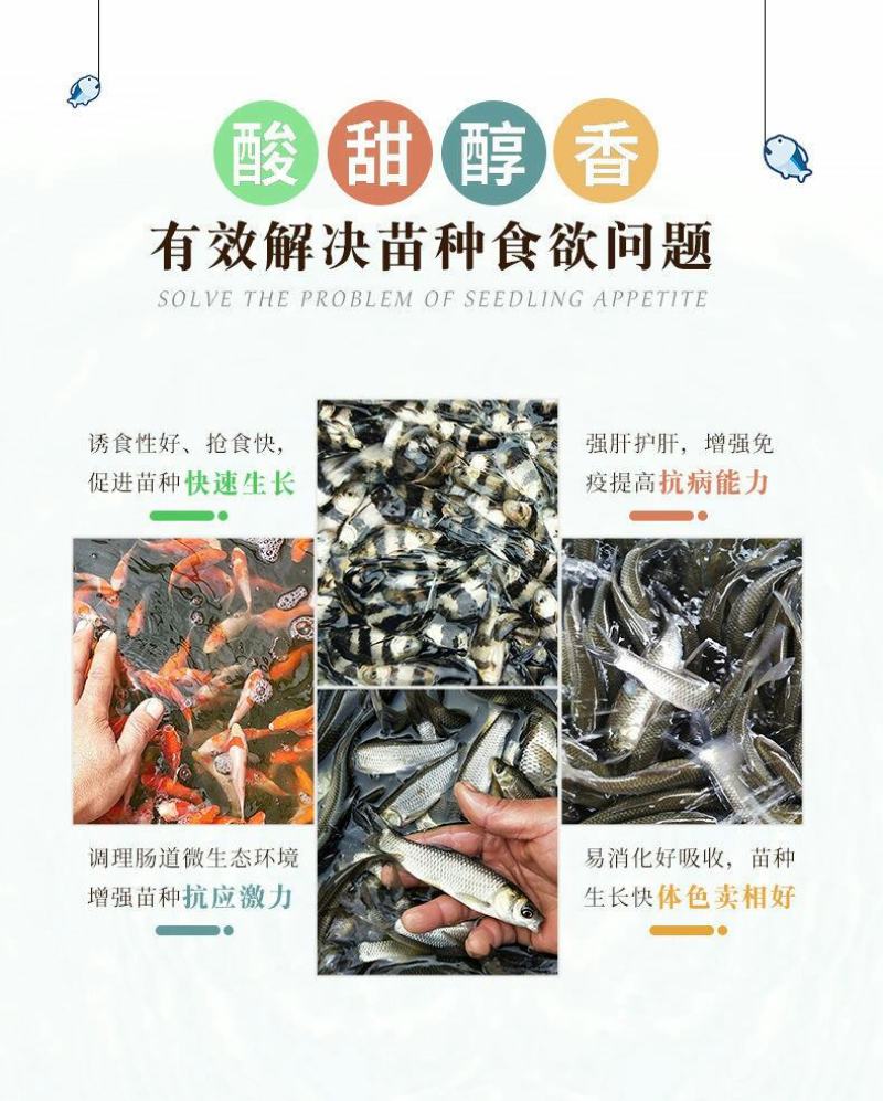 标粗虾肽宝蟹鱼苗料快速育苗壮苗发酵熟化配合饲料益生菌水产