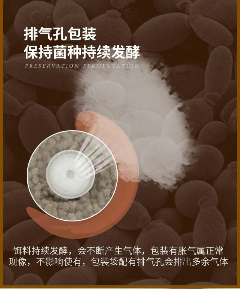 标粗虾肽宝蟹鱼苗料快速育苗壮苗发酵熟化配合饲料益生菌水产