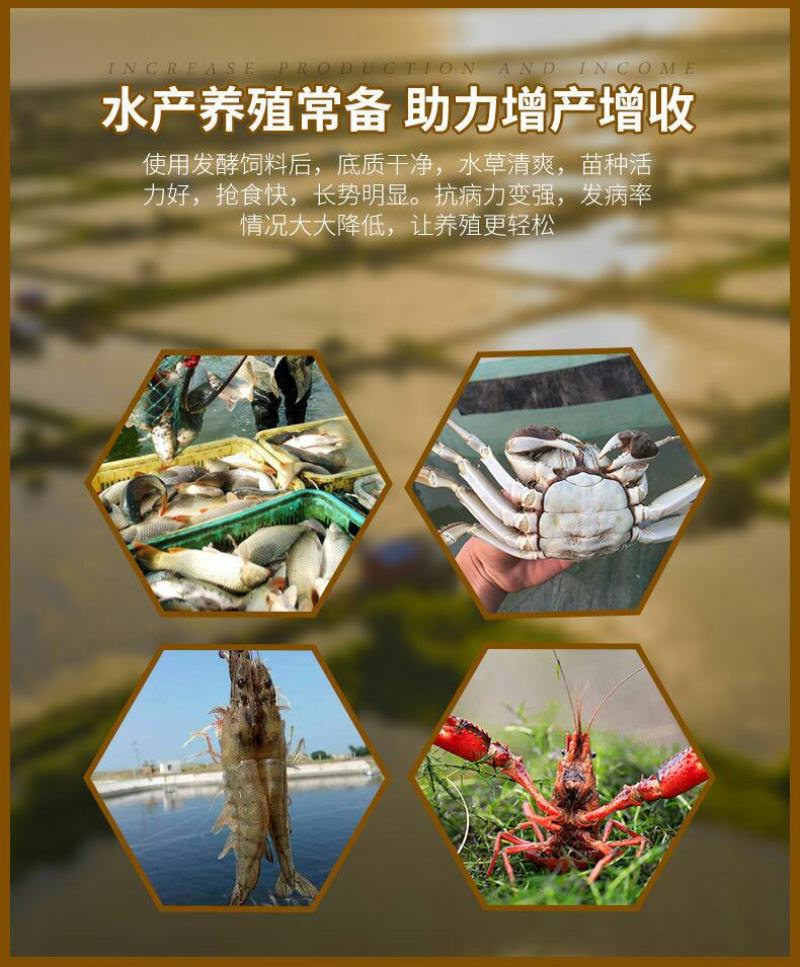标粗虾肽宝蟹鱼苗料快速育苗壮苗发酵熟化配合饲料益生菌水产