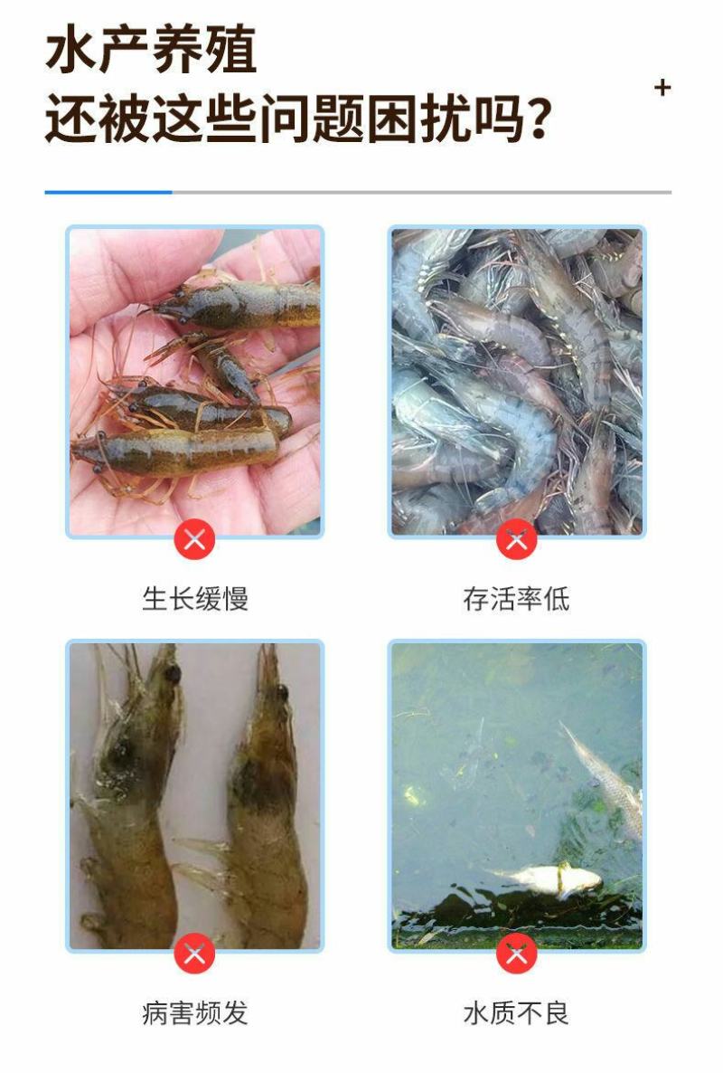 标粗虾肽宝蟹鱼苗料快速育苗壮苗发酵熟化配合饲料益生菌水产