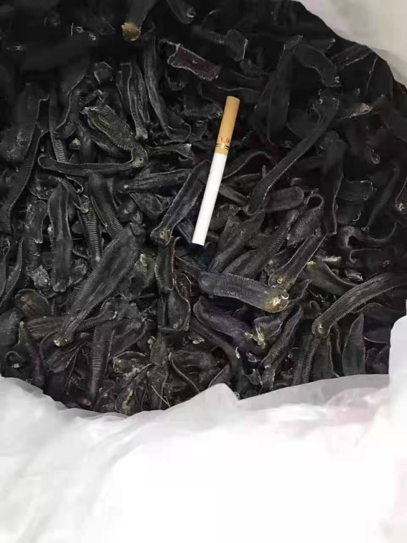 宽体金线蛭，宽体金线蛭种苗，免费提供养殖技术，回收商品。