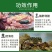 胆汁酸水产养殖肝胆综合肝胆康对虾小龙虾鱼蛙蟹塘保肝护胆促