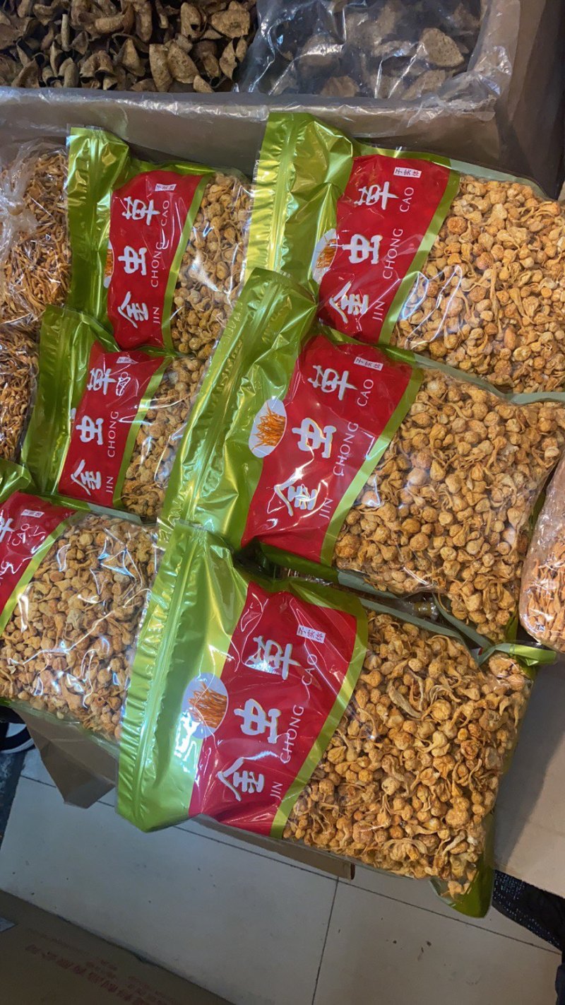 虫草花