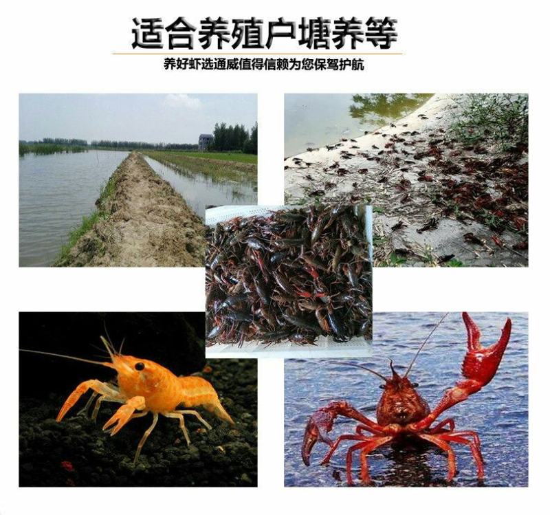 茶海虾王饲料通威小龙虾饲料膨化熟料30蛋白螃蟹水产配合1