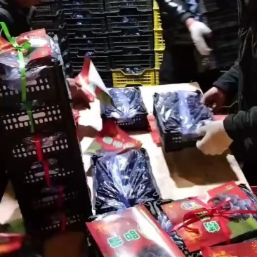春节快乐，礼品盒包装精美葡萄上市啦，速来选购，价格合理。