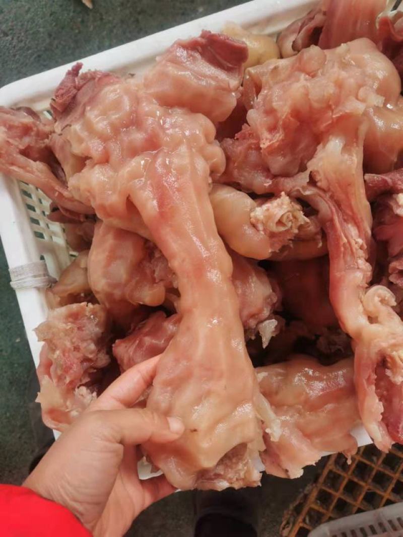带皮牛蹄附筋，生熟有货，熟牛蹄付筋
