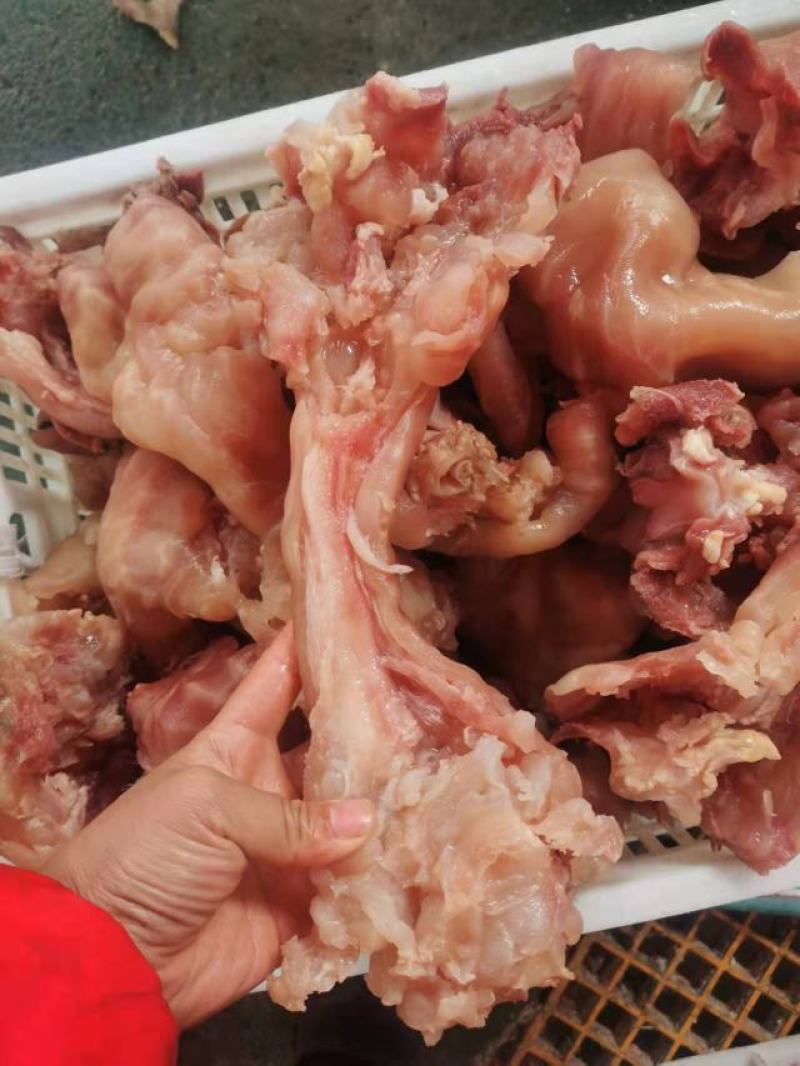 带皮牛蹄附筋，生熟有货，熟牛蹄付筋