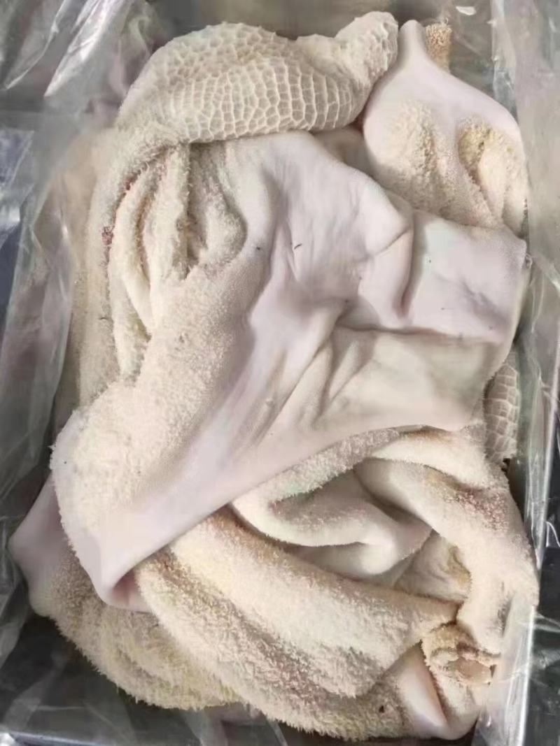半成品牛肚，出城干现货出售，工厂直销