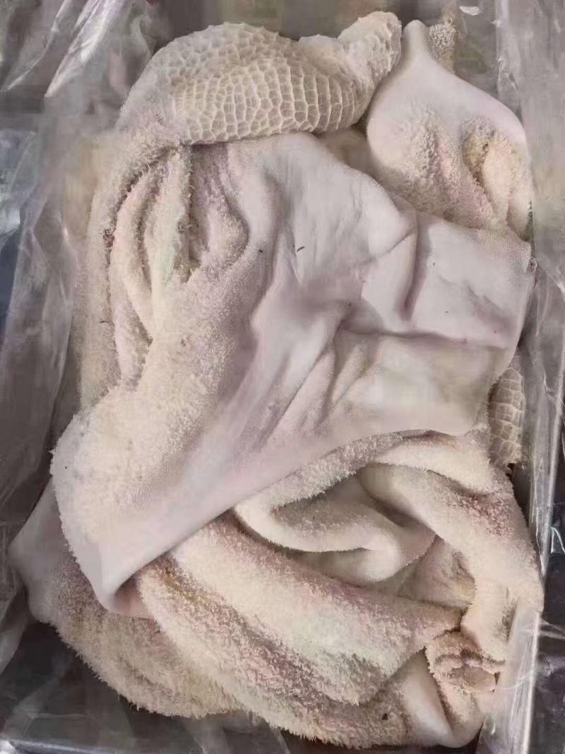 半成品牛肚，出城干现货出售，工厂直销