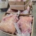 全熟牛头肉，各种牛副产品厂家直销