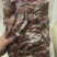 免切牛头肉，牛头肉切片每天大量生产牛副产品厂家直销独立包