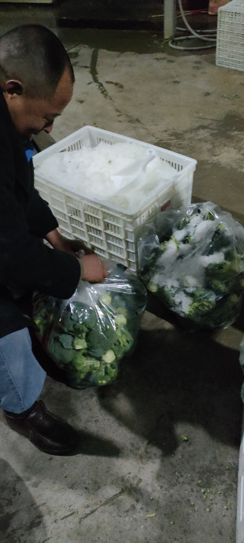 精品西兰花