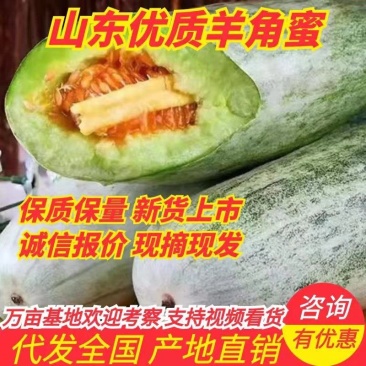【推荐】潍坊羊角蜜甜瓜产地直供电商团购微商等
