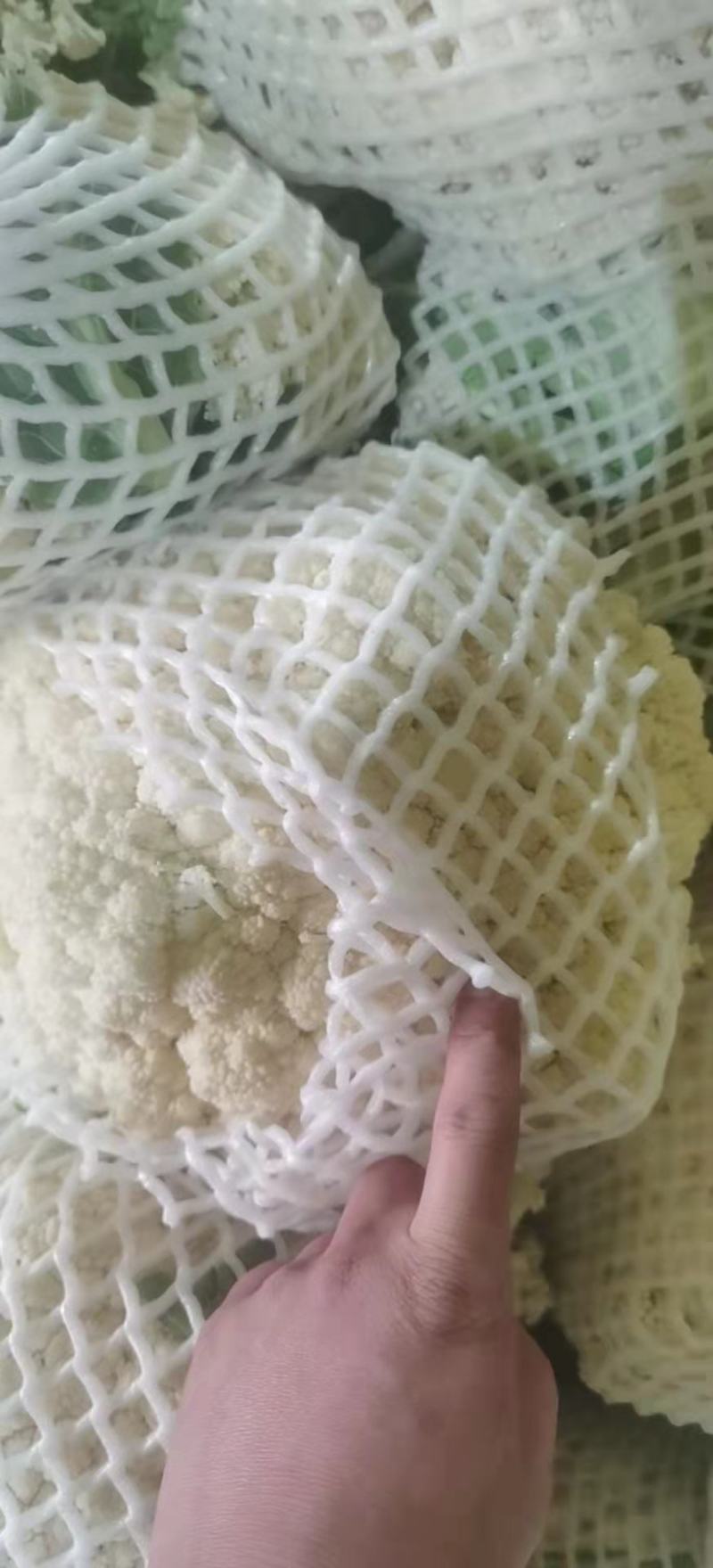 菜花