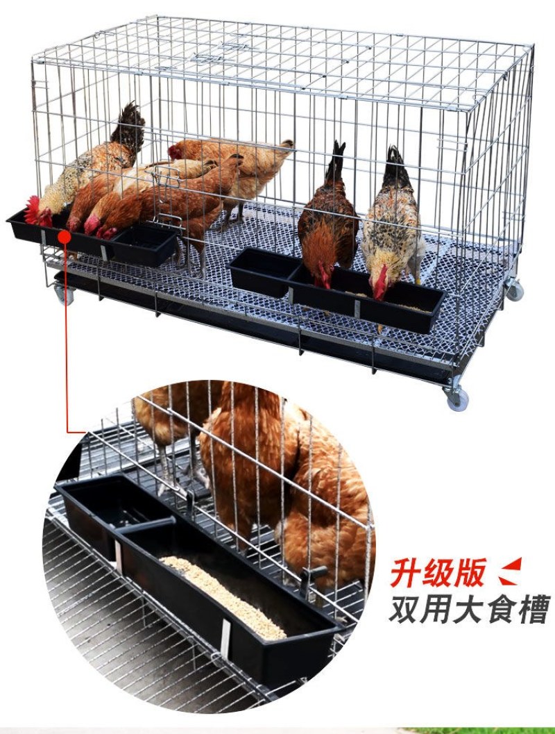 鸡笼家用大号特大养鸡笼鸡鸭养殖笼狗笼加粗加密兔笼子折叠鸡