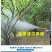 农用消毒产品胆矾农用硫酸铜果树蔬菜杀菌池塘消毒