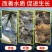 供应腐殖酸钠粉水产养殖杀菌调节水质农业土壤改良