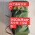 布水带布垄沟
