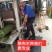 布水带布垄沟