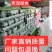布水带布垄沟
